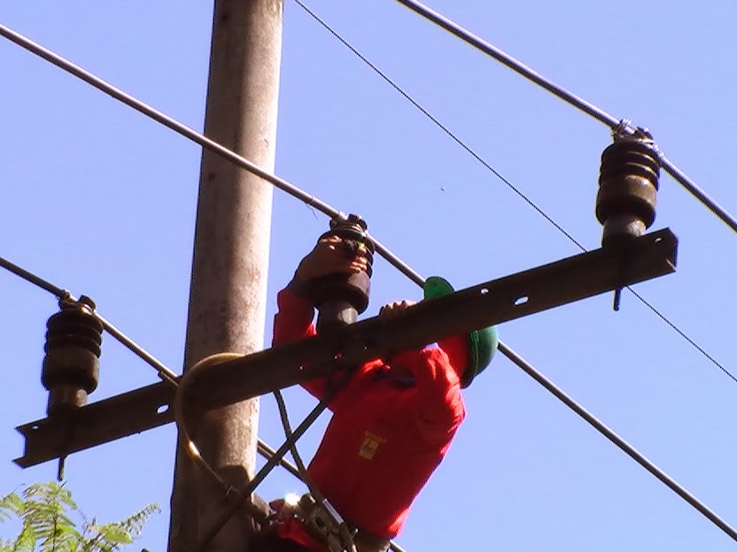 Jaringan Listrik di Bengkalis Dibersihkan